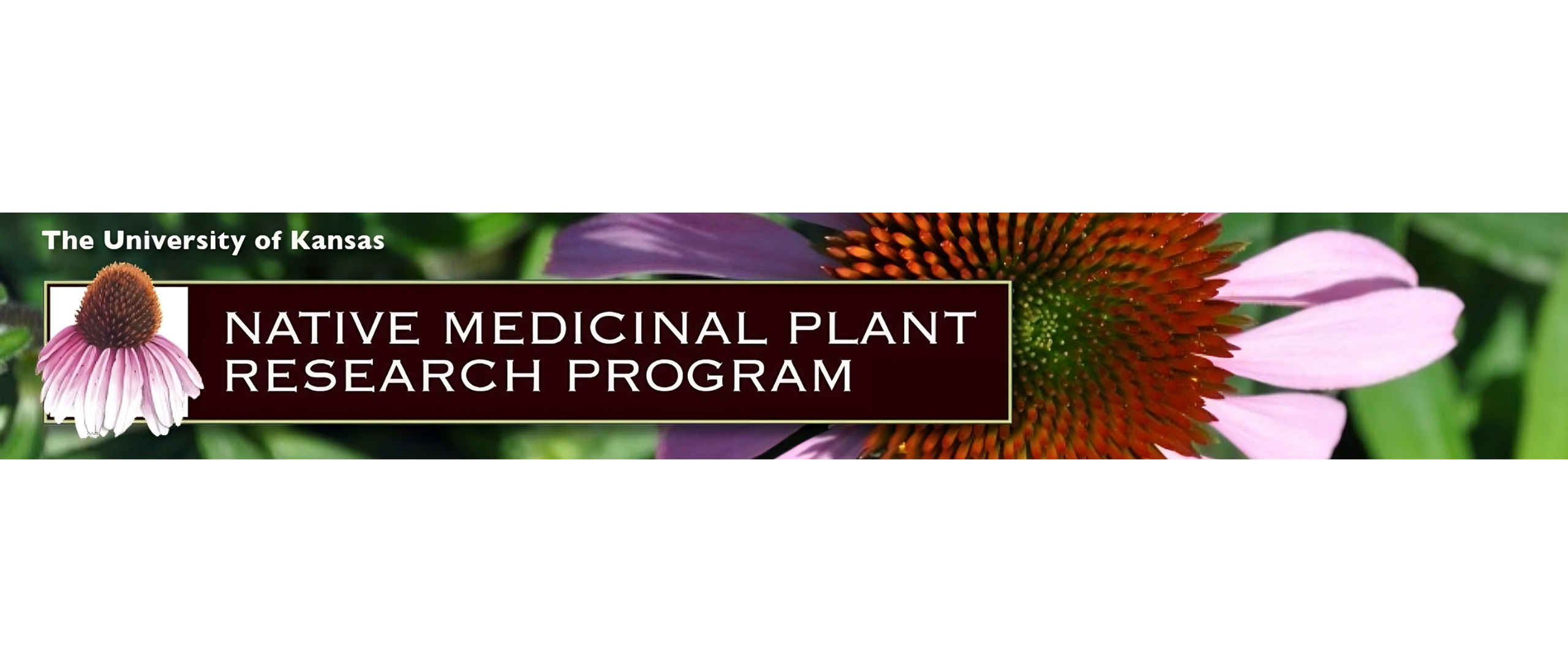 Banner with text that says "native medicinal plant research program"