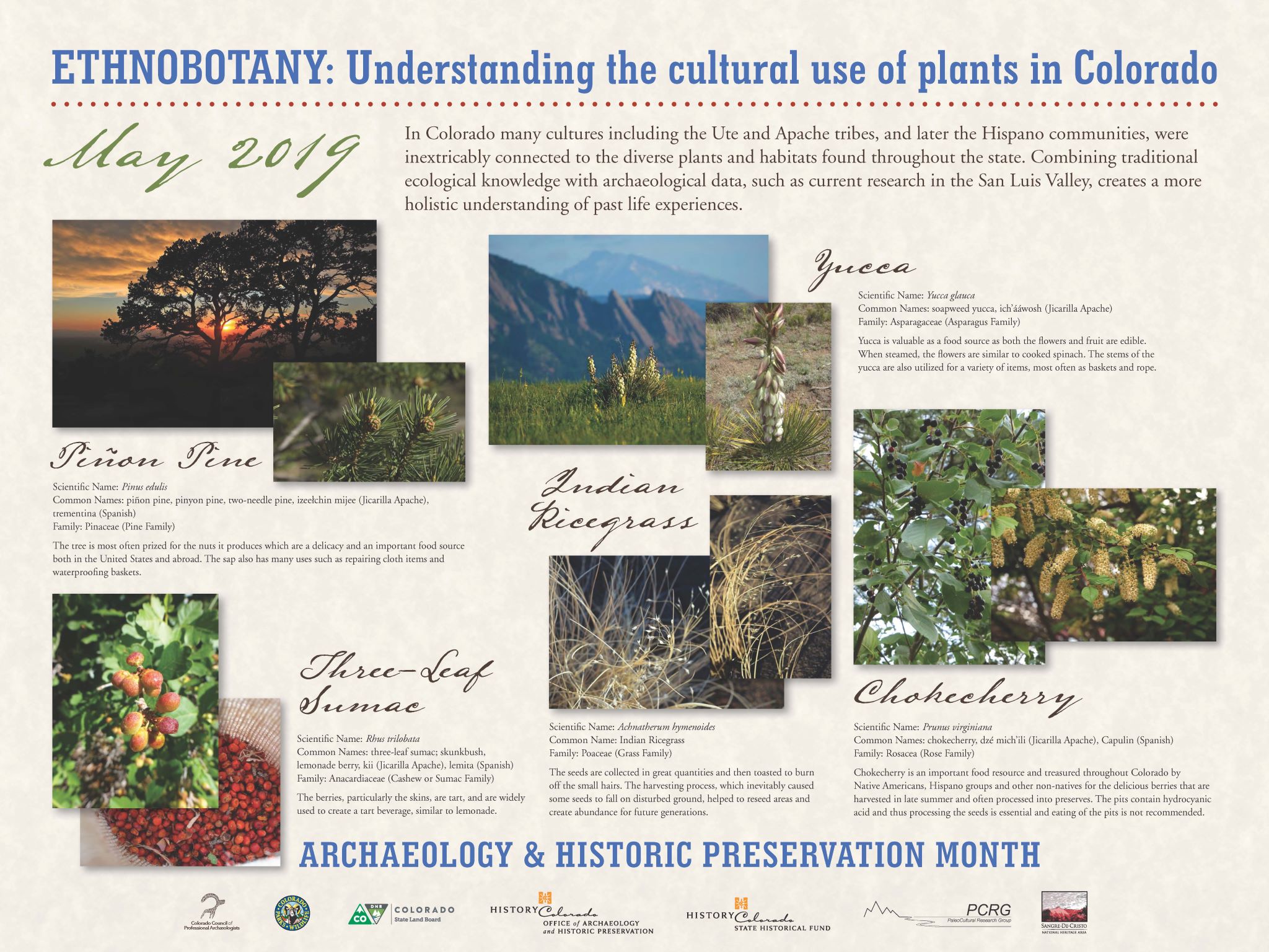 "Poster that features images and descriptions of plants such as Pinon Pine, Yucca, Indian Ricegrass, Three-Leaf Sumae, and Chokecherry"